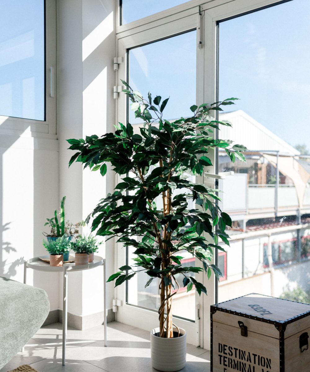 cabinet de conseil rh